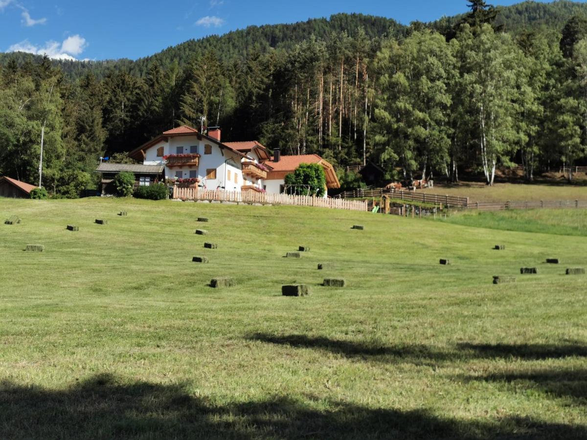 شقة Rauchenbichlerhof بَرونيكو المظهر الخارجي الصورة